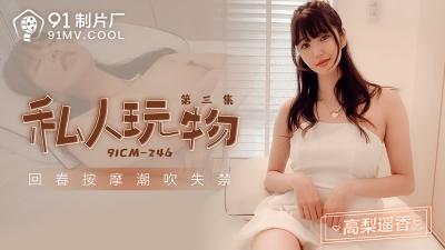 【91制片厂】91CM246 私人玩物 第三集高梨遥香.海报剧照